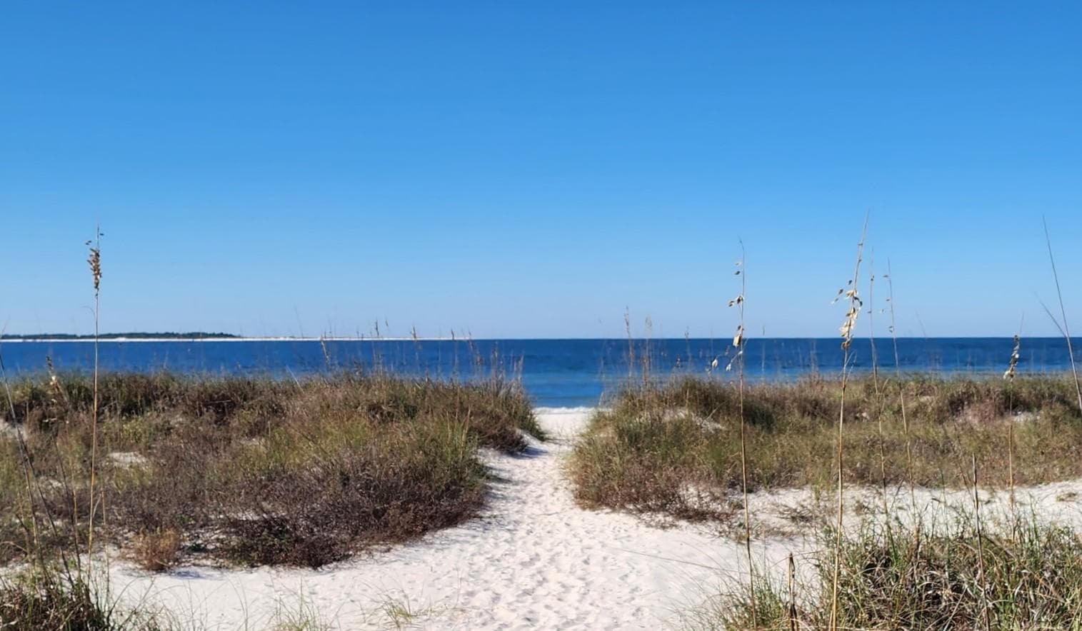 Port St. Joe Beach
